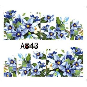 Tatuaj - A843