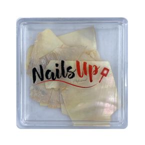 Decor Unghii NailsUp Scoici Nail Art