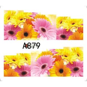 Tatuaj - A879