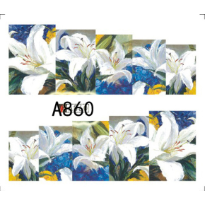 Tatuaj - A860