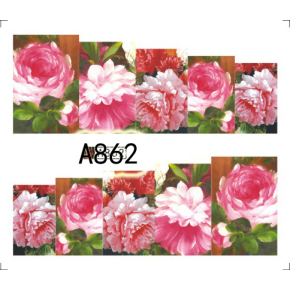 Tatuaj - A862