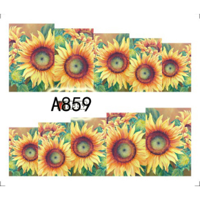Tatuaj - A859