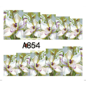 Tatuaj - A854