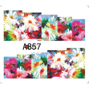 Tatuaj - A857
