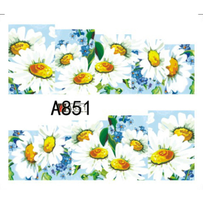 Tatuaj - A851